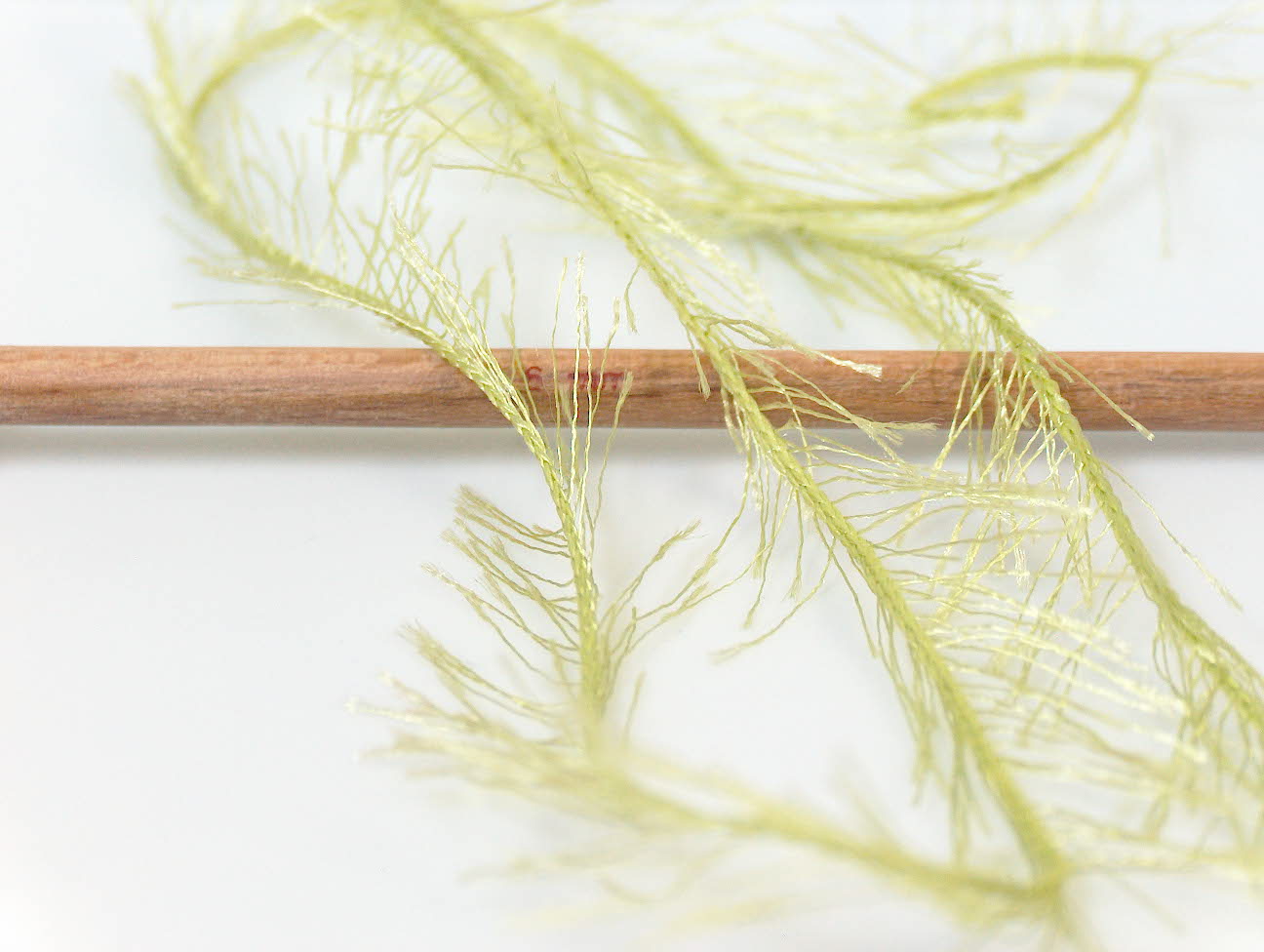 Groen Eyelash Yarns 4x100gr