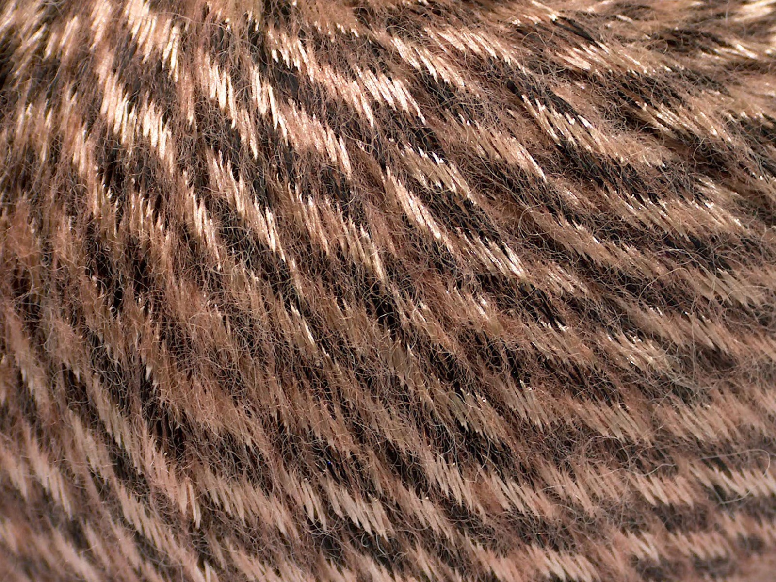 Bruin|Licht Zalm Herfst Winter Garens 8x50gr