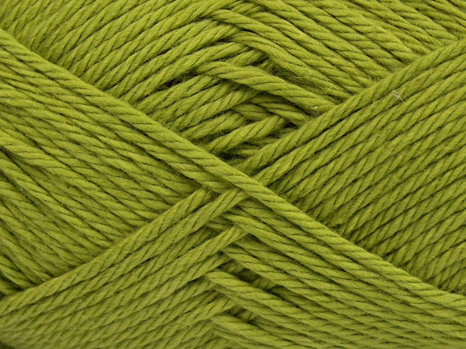 Licht Groen Lente Zomer Garens 8x50gr